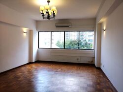The Cairnhill (D9), Condominium #597331901